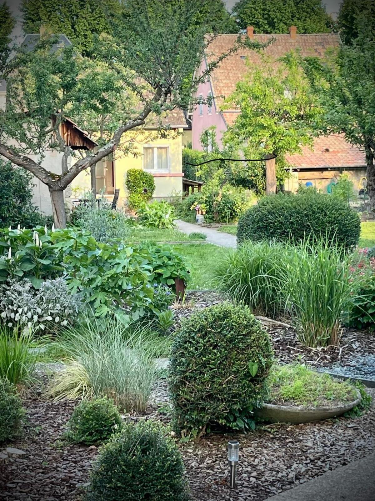 Le Beethoven Villa Colmar Luaran gambar